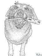 labrador retrivera Stranice Za Bojanje Za Ispis